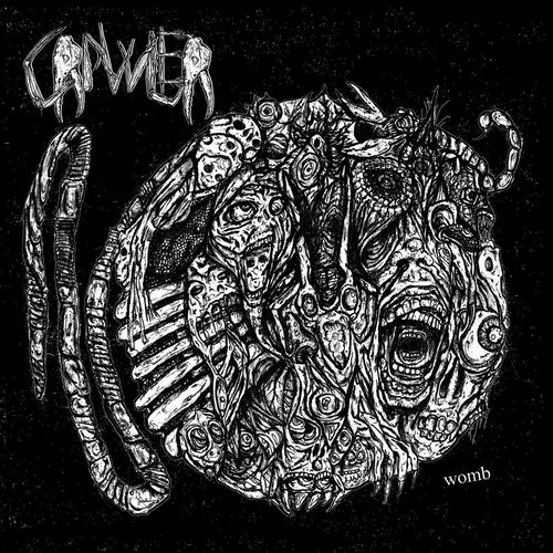 Crawler头像