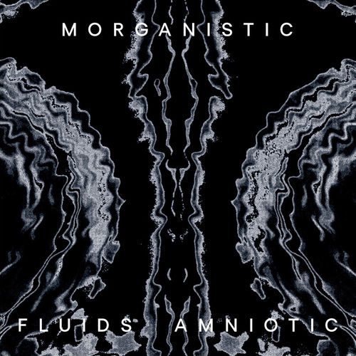 Morganistic头像
