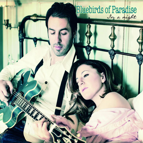Bluebirds of Paradise头像