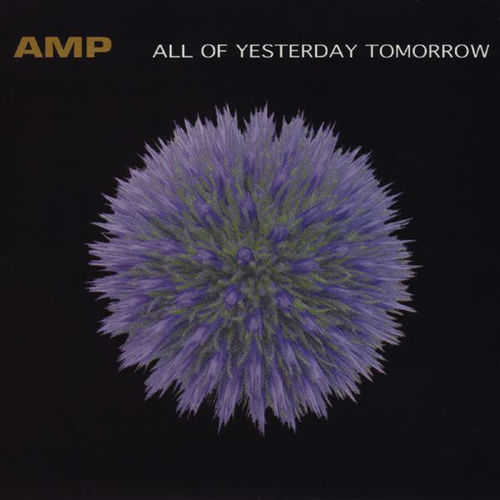 Amp头像