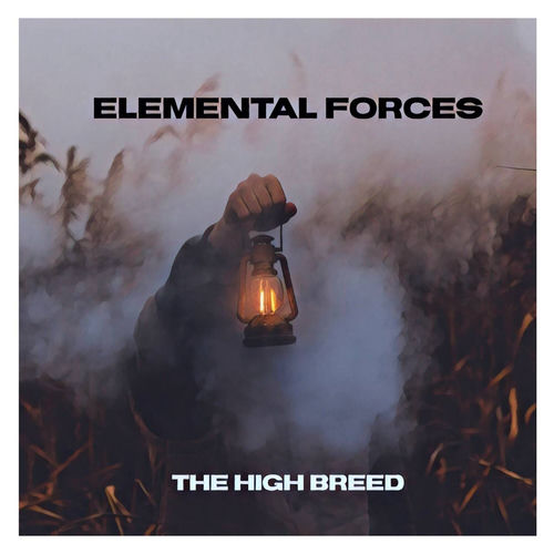 The High Breed头像