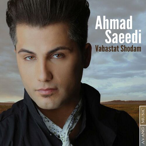 Ahmad Saeedi头像