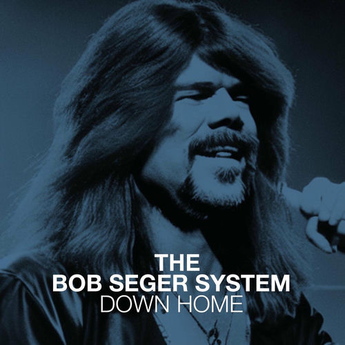 The Bob Seger System头像