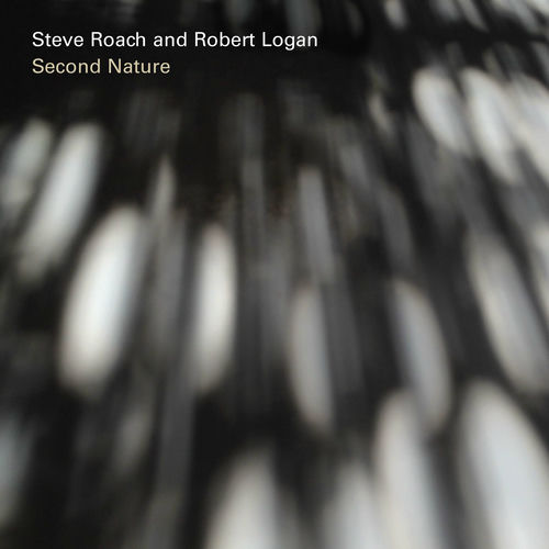 Robert Logan头像