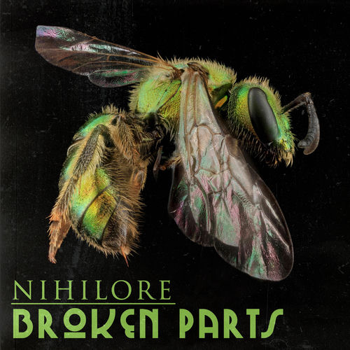 Nihilore头像