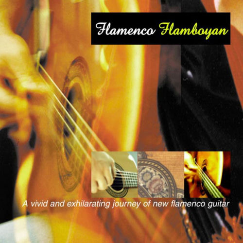 Flamenco Flamboyan头像