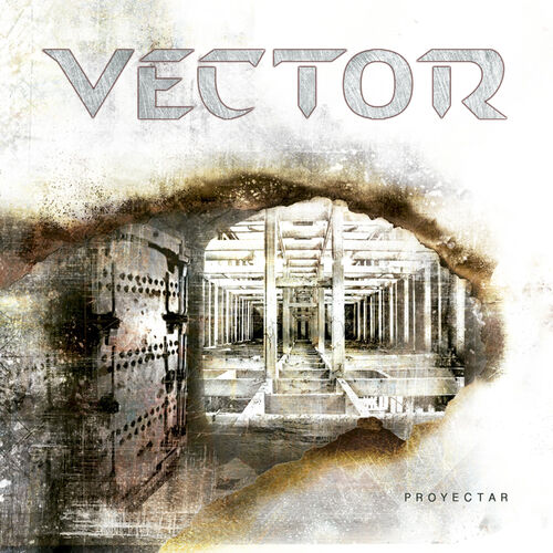 Vector头像