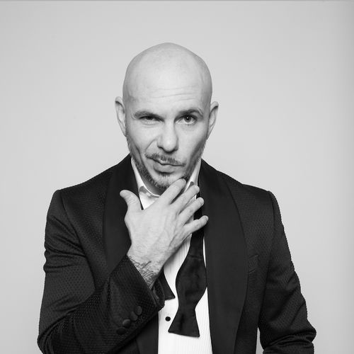 Pitbull头像