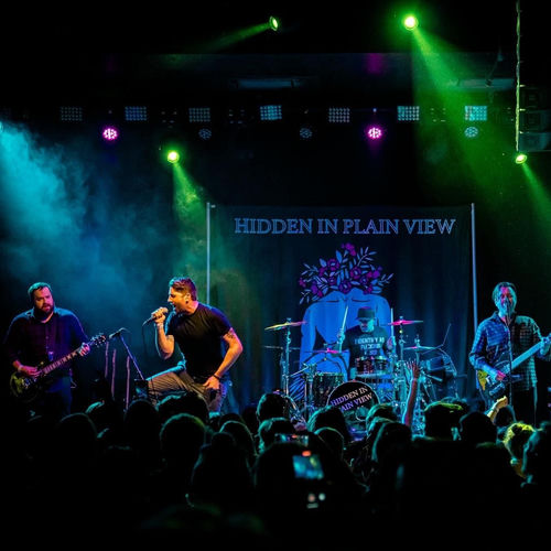 Hidden in Plain View头像