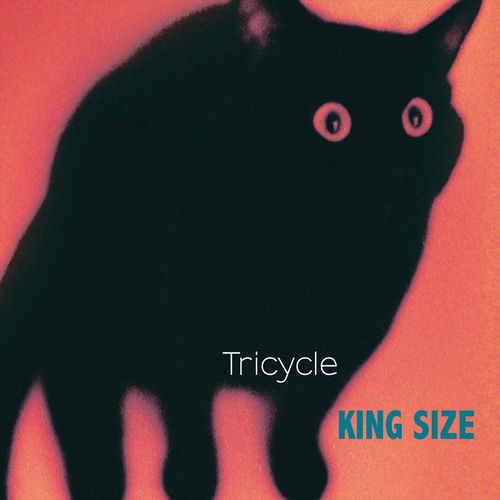 Tricycle头像