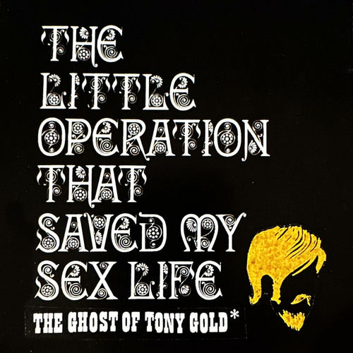 The Ghost of Tony Gold头像