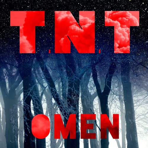TNT头像