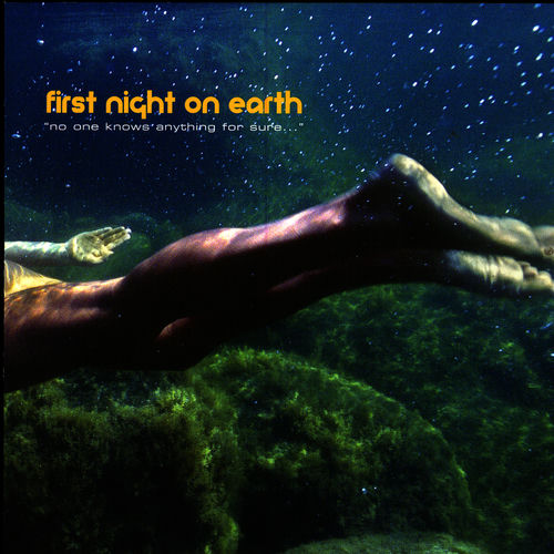 First Night on Earth头像