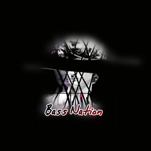 Bass Nation头像