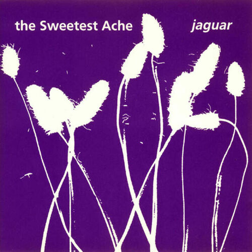 The Sweetest Ache头像