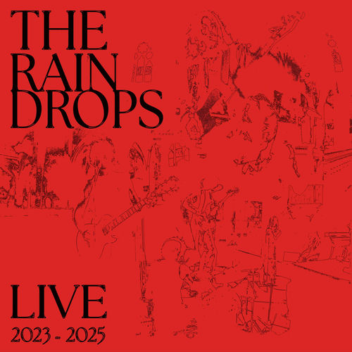 The Raindrops头像