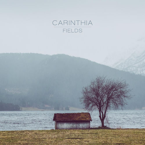 Carinthia头像