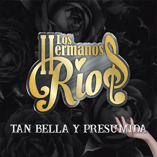 Los Hermanos Rios头像