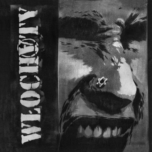 Włochaty头像
