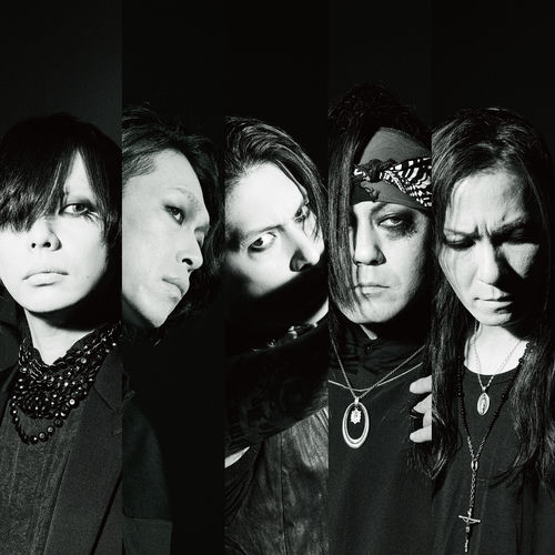 lynch.头像
