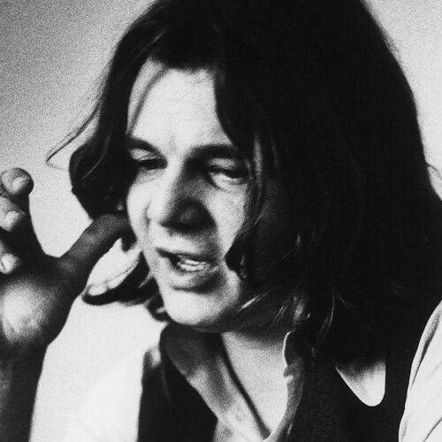 Steve Miller Band头像