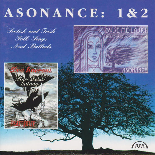 Asonance头像