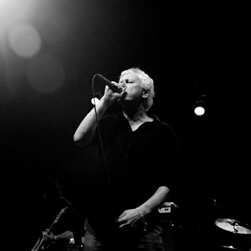 Robert Pollard头像