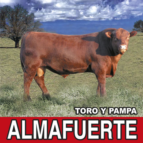 Almafuerte头像