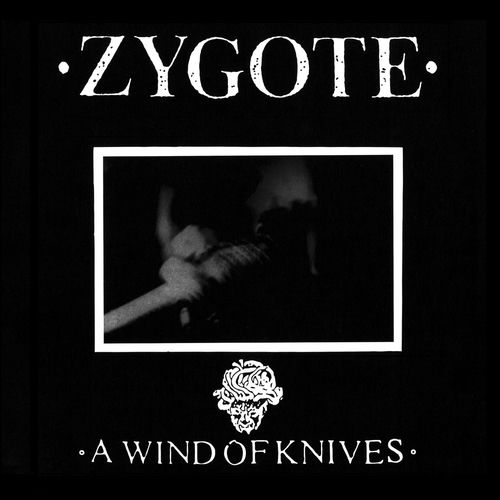 Zygote头像