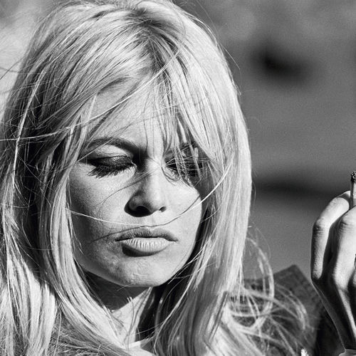 Brigitte Bardot头像