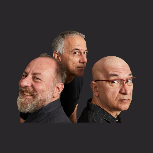 Os Paralamas do Sucesso头像