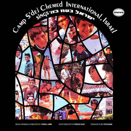 Camp S'dei Chemed International头像