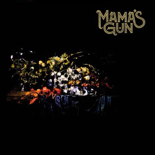 Mamas Gun头像