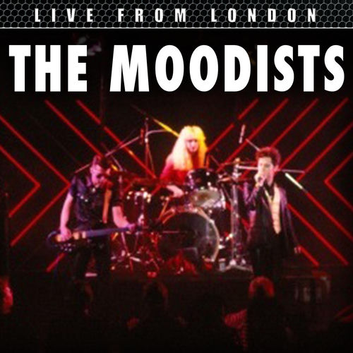 The Moodists头像