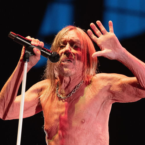Iggy Pop头像