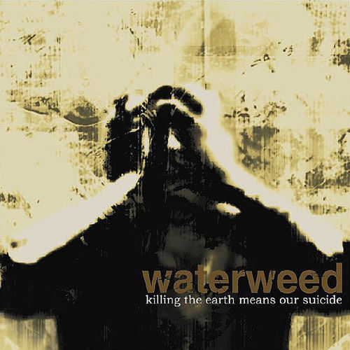 waterweed头像
