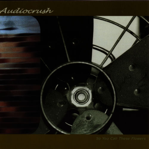Audiocrush头像