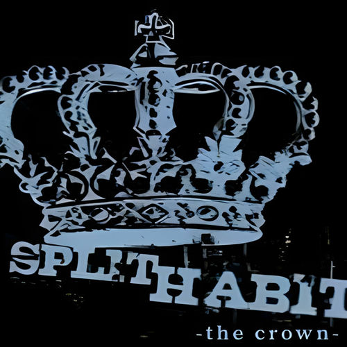 Split Habit头像
