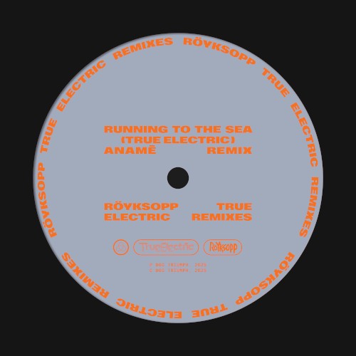 Running to the Sea (True Electric) (anamē remix)封面