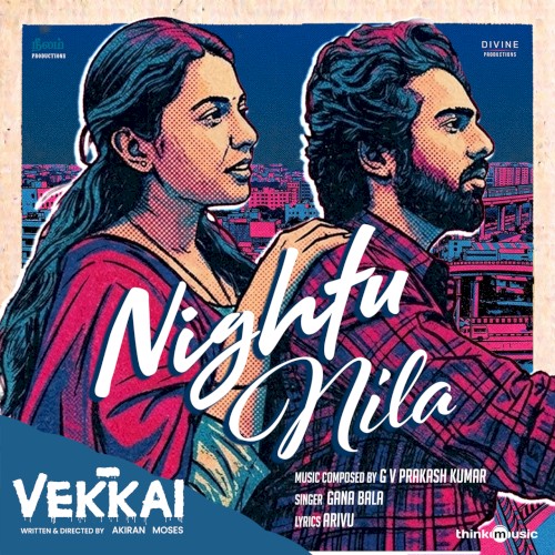 Nightu Nila封面