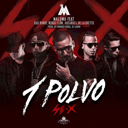 1 polvo封面