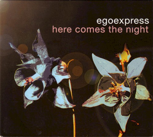 Here Comes the Night封面