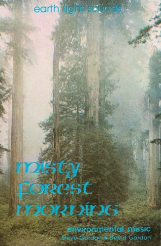 Misty Forest Morning封面