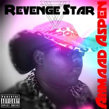 Revenge Star封面