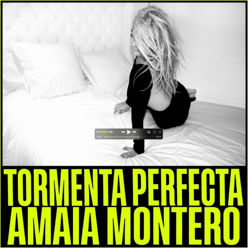 Tormenta perfecta封面