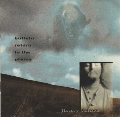 Buffalo Return to the Plains封面