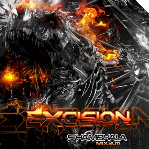 Shambhala 2011 Mix封面