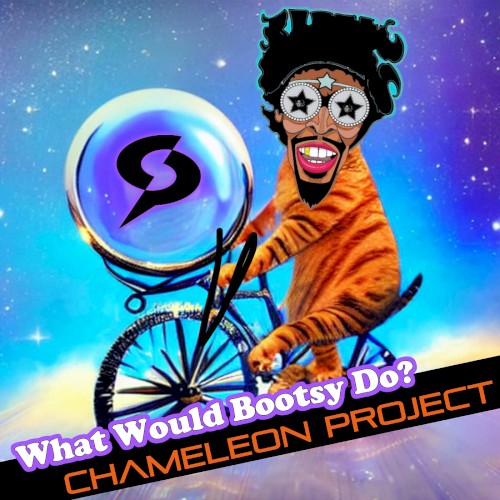 What Would Bootsy Do?封面