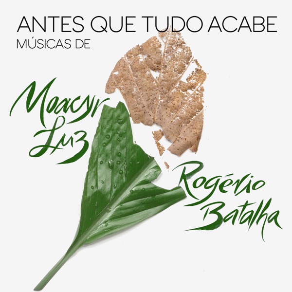 Antes Que Tudo Acabe封面