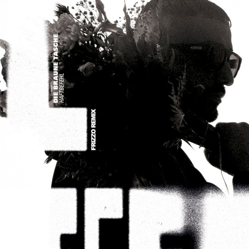 Die braune Tasche (Frizzo remix)封面